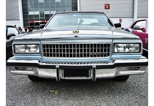 Chevrolet Caprice Limousine (1976–1990) 5.0 V8 (170 PS)