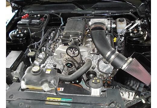 Ford Mustang Cabrio (2004–2014) 5.0 DOHC (426 PS)
