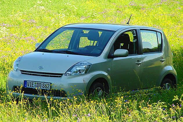 Nicht nachmachen: Viele Blümchen sind geschützt und sollten nicht überfahren werden