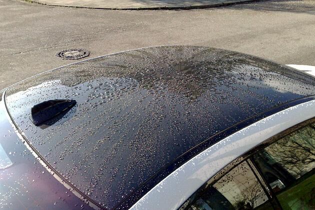 Fröhliche Begrüßung: Das M3-Dach im Morgentau