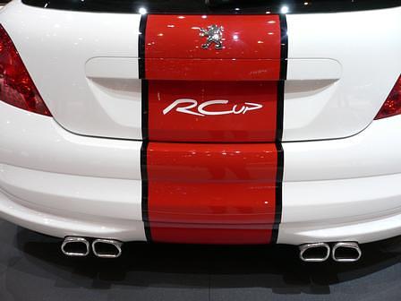 Peugeot 207 RC