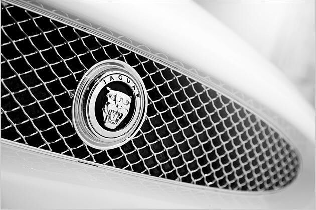 Der Jaguar-Kopf brüllt in der Mitte des Lufteinlasses