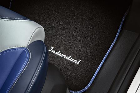 Ford Fiesta Individual