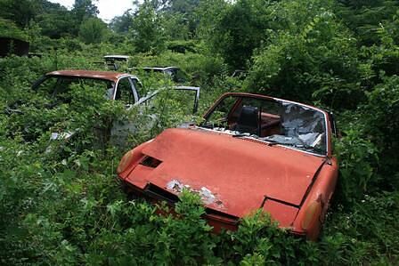 Reportage: Der 914er Experte