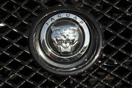 Jaguar-SUV - Großkatze könnte 2016 kommen