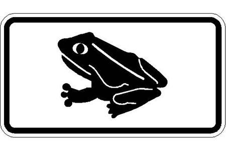 Amphibien auf Wanderschaft - Vorsicht, Kröten unterwegs