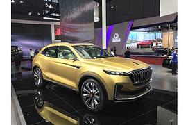 So gut sind die China-Autos wirklich - Monokultur