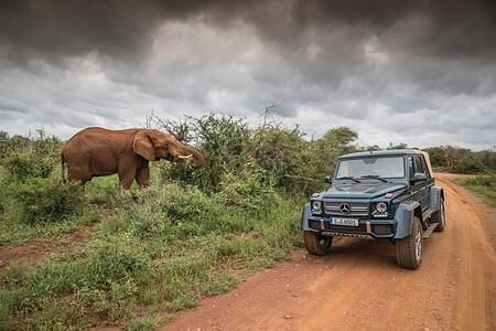 Mercedes-Maybach G 650 Landaulet - Mit dem Jagdschloss auf Safari-Tour Mercedes-Maybach G 650 Landaulet - Mit dem Jagdschloss auf Safari-Tour
