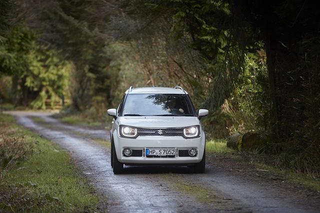 Der Ignis will kein Sportwagen sein, seine künftigen Nutzer werden eher gleiten statt heizen 