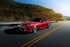 Kia Stinger - Koreanischer Stachel Kia Stinger - Koreanischer Stachel