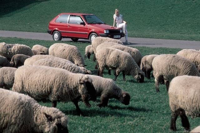 Nissan Micra Generation 1 ab 1986