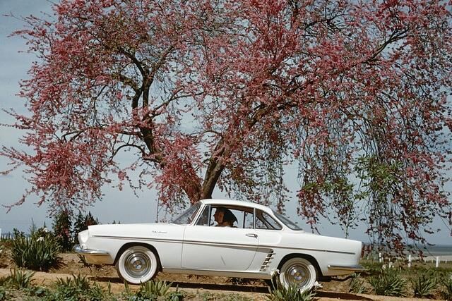 Renault Floride 1958 bis 1962
