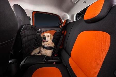 Ratgeber: Autoreise mit Hund - Entspannter Bello auf großer Fahrt