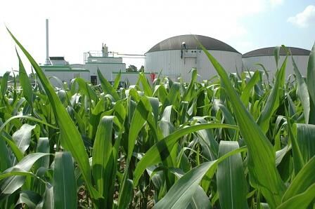 Biogasanlage im Maisfeld, Bildquelle: Agentur für Erneuerbare Energien
