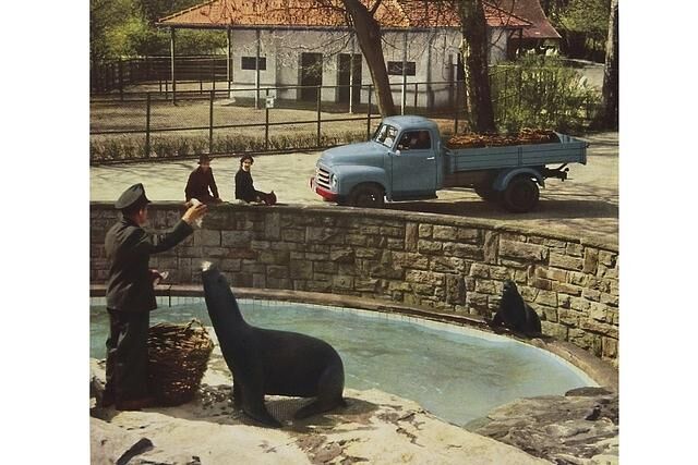 Opel Blitz 1,5-Tonner Pritsche 1955
