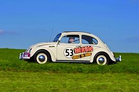 Herbie - Käfer zum Knuddeln