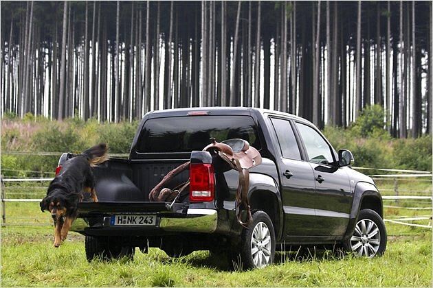 Hund und Pferdesattel: Ein passendes Ambiente für den VW Amarok