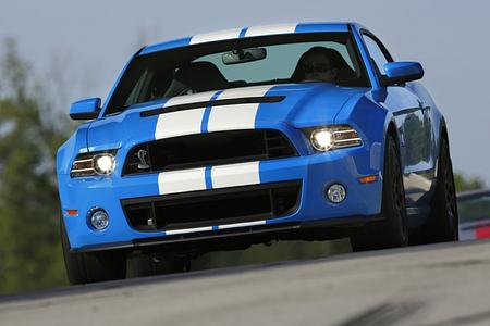 Ford Mustang Shelby GT 500 - Streichelzoo Ford Mustang Shelby GT 500 - Streichelzoo