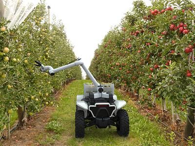 Roboter-Quad von Honda  - Kleiner Helfer für Arbeit und Notfall 