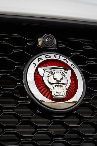Jaguar XF 30d - Kameras rundum