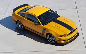 Ford Mustang - Pferdepflege