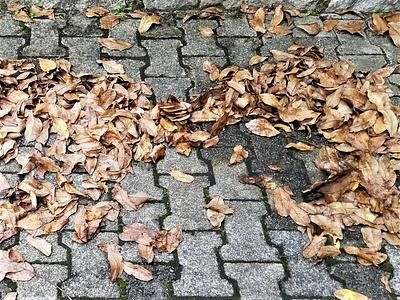 Ratgeber: Sicher unterwegs im Herbst - Bunte Blätter,  Böen und Bremswege