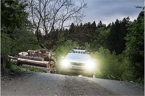 Kilometerschrubben ist vorerst vorbei und die Gruppe hat endlich wieder Dreck unter den Rädern. Jetzt geht es durch dichte Urwälder