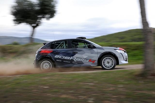 Peugeot 208 Rally 4