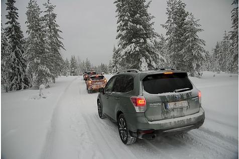 Der Forester ist der beliebteste Subaru.