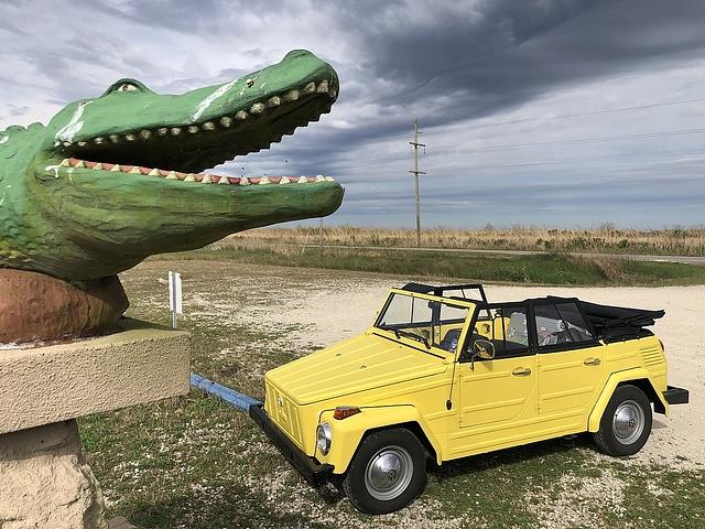 VW 181 in den Südstaaten der USA
