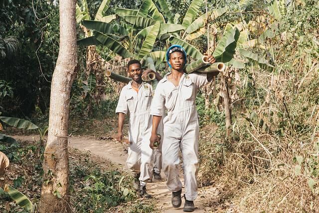 Panorama: Grasesel Made in Ghana und Kiel - Hilfreiches Naturprodukt