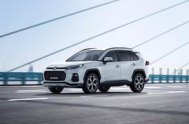 Suzuki Across PHEV - Niemandsland