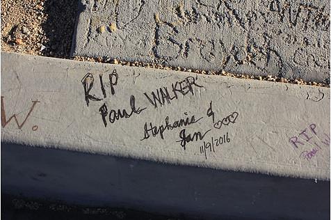 Paul Walker (119)