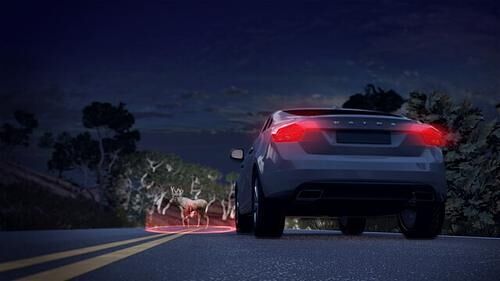 5x: Tipps fürs Autofahren im Herbst - Die Gefahr im Blick