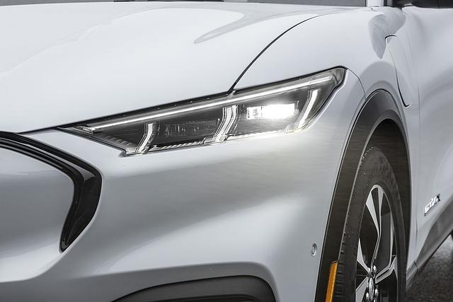 Die blitzenden Augen passen zum Ford Mustang Mach-E