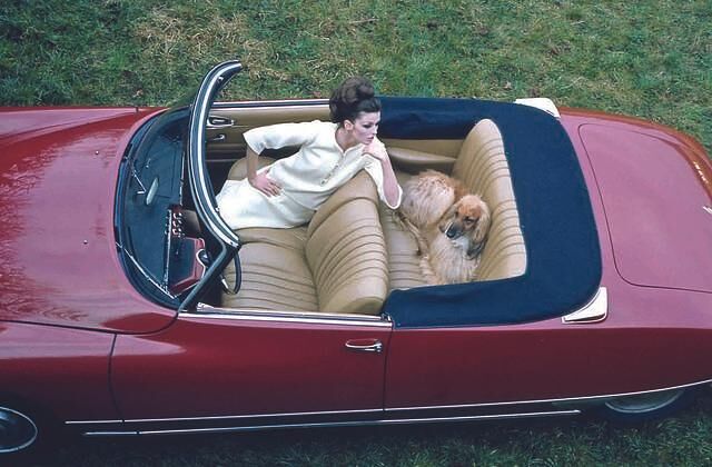 Die für viele schönste DS-Version ist das Cabriolet, welches von verschiedenen Karossiers wie etwa Chapron gefertigt wurde