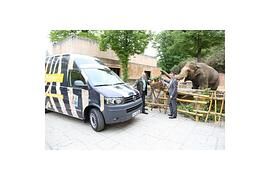 Zwei neue Arbeitstiere für den ZOO Hannover