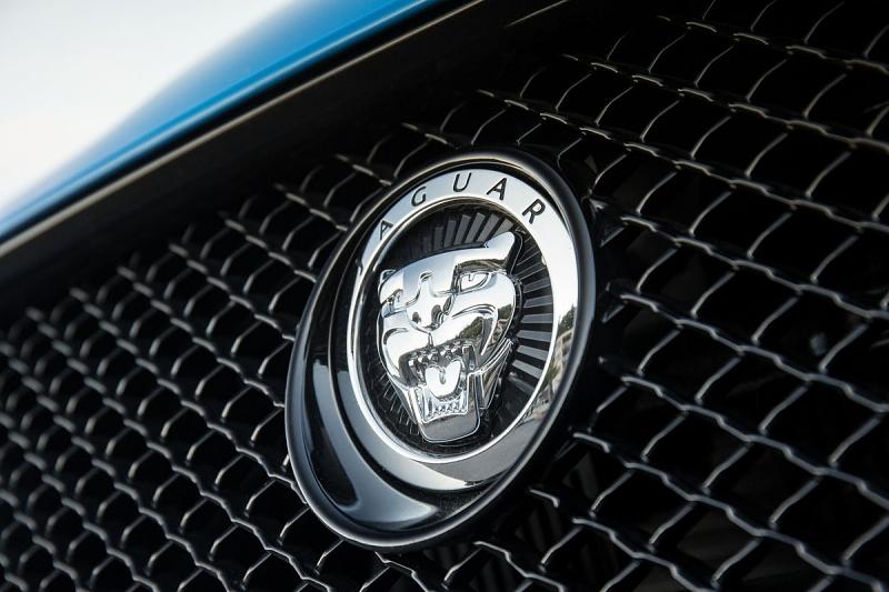 Die fauchende Katze findet sich überall am Auto