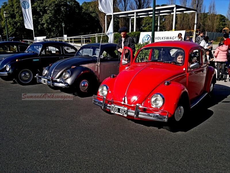 Der VW Käfer heißt in Argentinien: Escarabajo