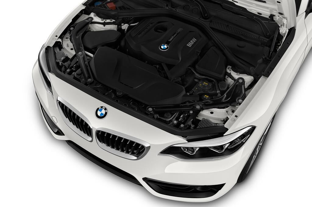 BMW 2 Series (Baujahr 2018) Sport 2 Türen Motor