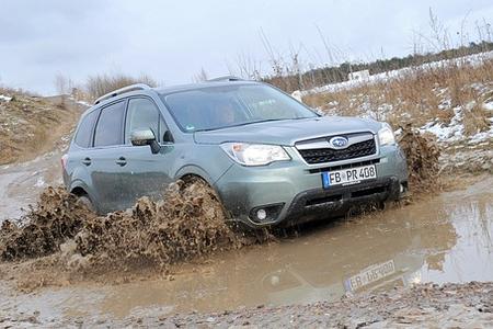 Test: Subaru Forester - Statt Lifestyle handfeste Qualitäten Test: Subaru Forester - Statt Lifestyle handfeste Qualitäten