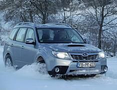 Subaru Forester - das Holzfäller-SUV