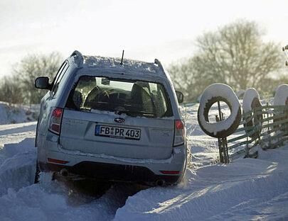 Abseits der Straße kann man mit dem Subaru Forester den ungetrübten Blick in die Natur genießen.