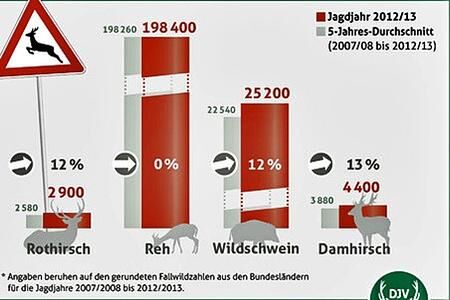 Heißhunger treibt sie über die Straße