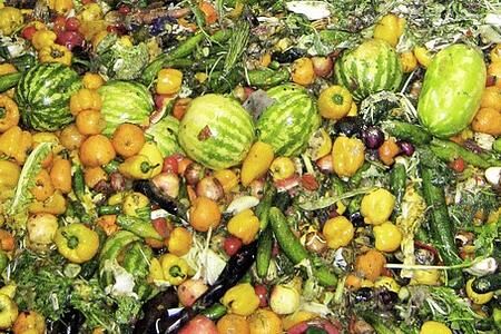 Studie: Biokraftstoffe aus Abfällen haben großes ungenutztes Potenzial