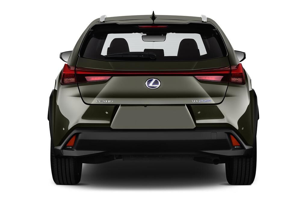 Lexus UX (Baujahr 2019) Luxury Line 5 Türen Heckansicht
