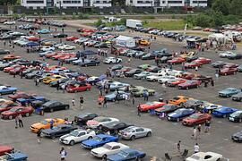 Ford Mustang Treffen in Köln - Eine echte PS-Herde