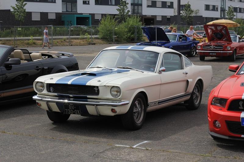 Einfach nur schön: ein Ford Mustang GT 350.