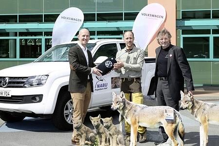 Volkswagen Konzern und NABU wollen den Wolf besser schützen