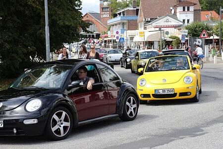 Beetle Sunshine Tour - Käfer am Strand